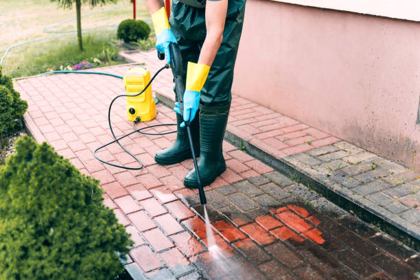 Best Rust Removal  in Ridgeway, AK
